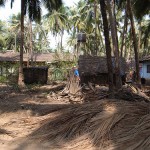 house in the goan jungle