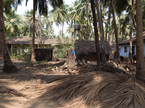 house in the goan jungle
