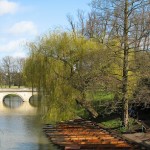 cambridge punts