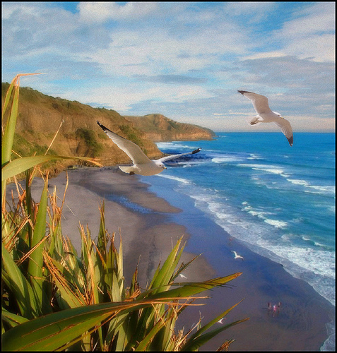 story of the sea