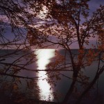 moonlight on lake