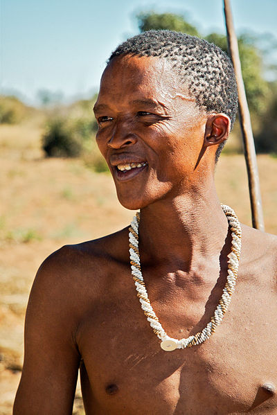 bushmen stories