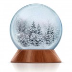 a Christmas story