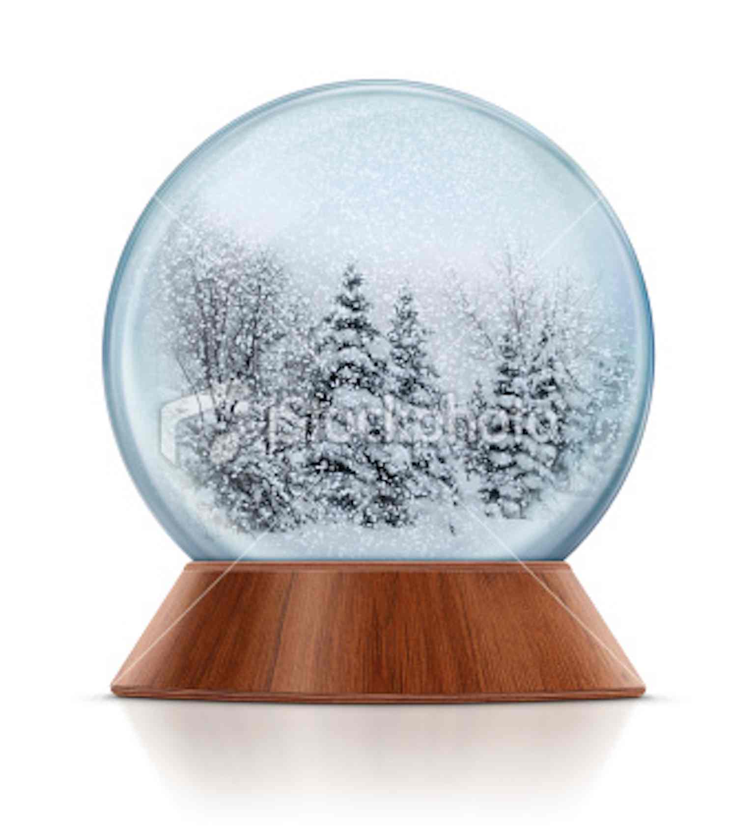 snowglobe biography snowglobe biography